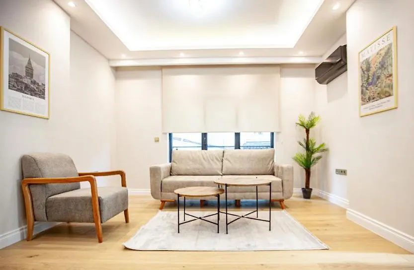 Mayer Skycon Residence In Besiktas 2 Istanbul Apartment